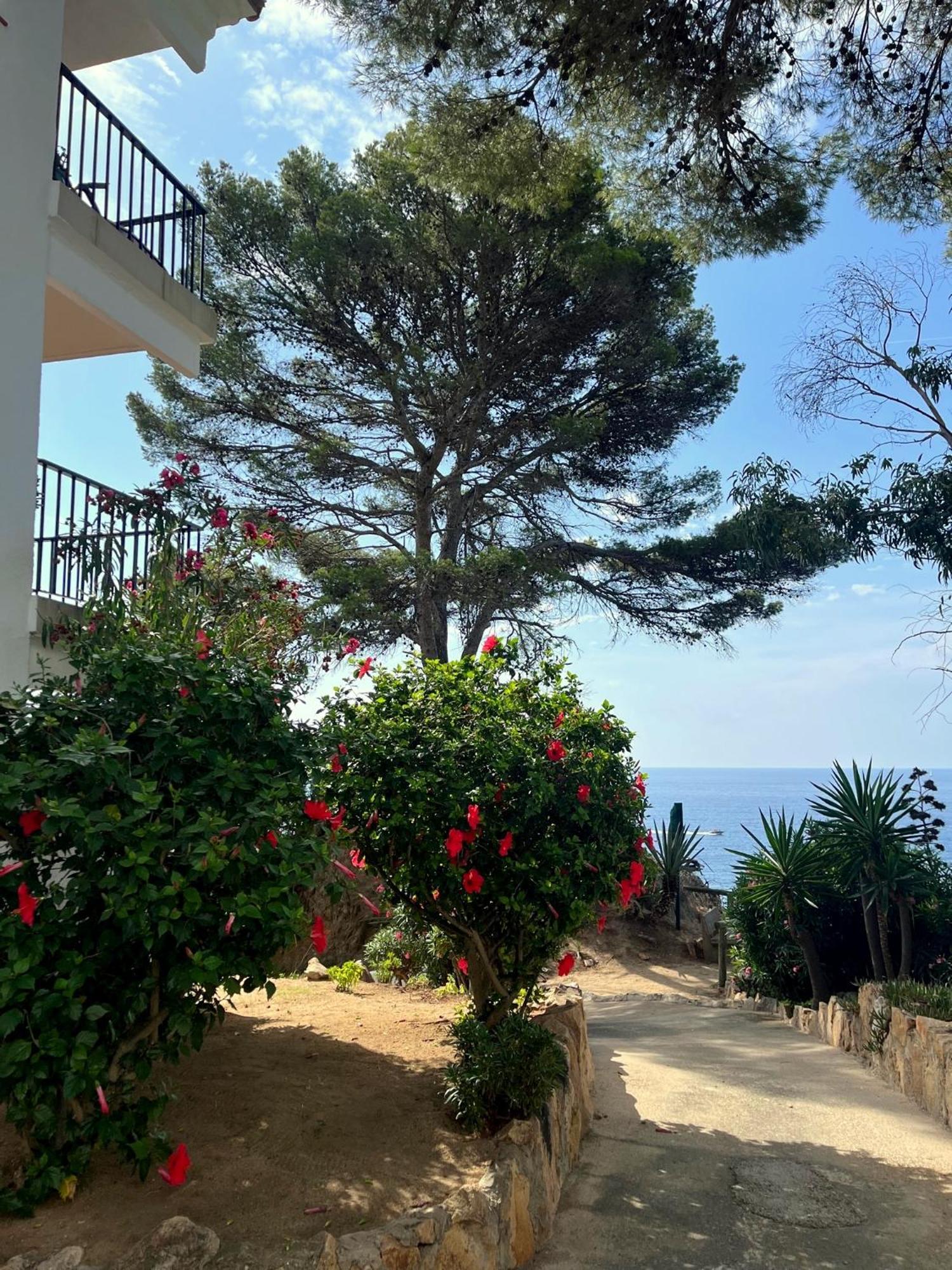 Les Terrasses De Cala Llevado Apartment ตอสซาเดมาร์ ภายนอก รูปภาพ